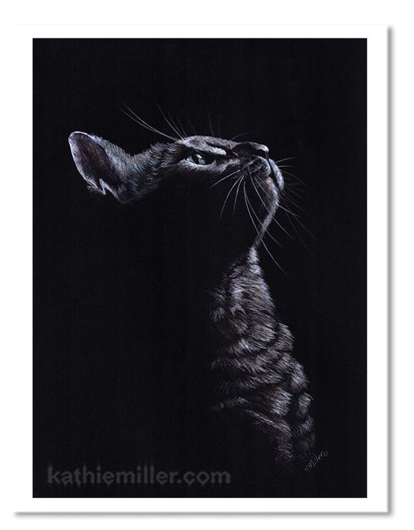 Kitten on Black painting by award winning artist Katie Miller. Prints available.