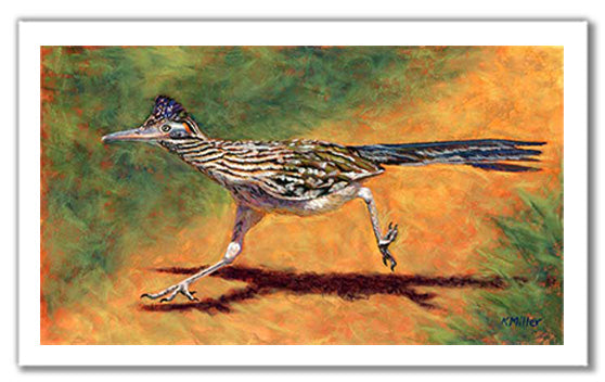 Pastel painting of a greater roadrunner in full run. Rendered in a contemporary style using bold strokes and bright colors by award winning artist Kathie Miller.