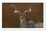 Kudu painting print by award winning wildlife artist Kathie Miller