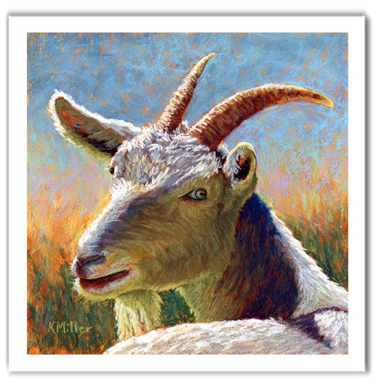 Pastel portrait print of a white goat laying in the sun. Rendered in a contemporary style using bold strokes and bright colors by award winning artist Kathie Miller.