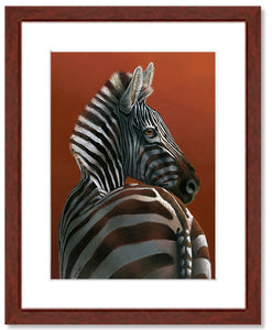 Last Light - Plains Zebra | Fine Art Prints