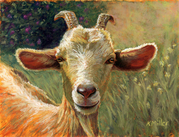 Original 12” x 9” Pastel portrait of a goat among the flowers by award winning artist Kathie Miller. Contemporary style using bold strokes and bright colors. Prints available.