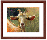 Pastel portrait print of a goat among the flowers with a mahogany frame and white mat. Rendered in a contemporary style using bold strokes and bright colors by award winning artist Kathie Miller. 