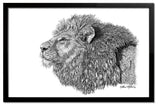 Lion Portrait - Ink drawing by wildlife artist Kathie Miller. Prints available.