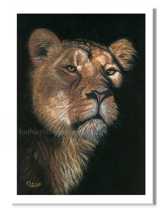 Lioness - pastels by award winning artist Kathie Miller.