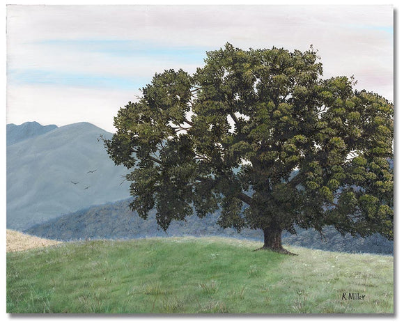 Original oil painting of a lone oak tree in the hills of California. 8” x 10” Oil on panel by award winning artist Kathie Miller. Painting is shipped unframed.