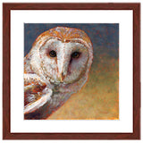 Pastel portrait print of a barn owl with a mahogany frame and white mat. Rendered in a contemporary style using bold strokes and bright colors by award winning artist Kathie Miller. 
