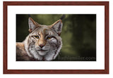 Lynx Portrait with mohogany frame by award winning artist Kathie Miller. Prints available.