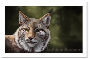 Lynx Portrait by award winning artist Kathie Miller. Prints available.