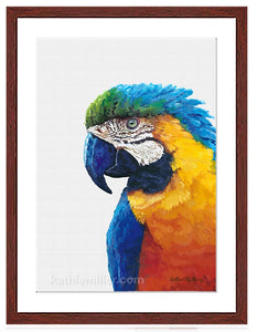 Macaw painting with mahogany frame by wildlife artist Kathie Miller. Prints available. 
