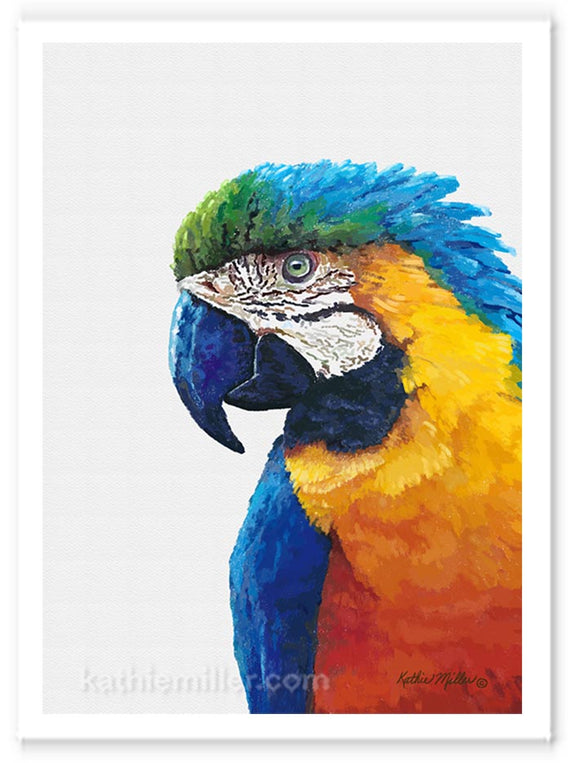 Macaw painting by wildlife artist Kathie Miller. Prints available. 