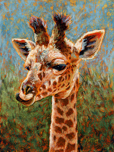 "Mandy – Baby Giraffe " 6” x 8”. Original pastel portrait of a baby giraffe in the bright sunshine by award winning artist Kathie Miller. Contemporary style using bold strokes and bright colors. Prints available.