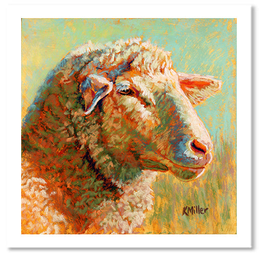 Pastel portrait print of a sheep in the morning sun. Rendered in a contemporary style using bold strokes and bright colors by award winning artist Kathie Miller.