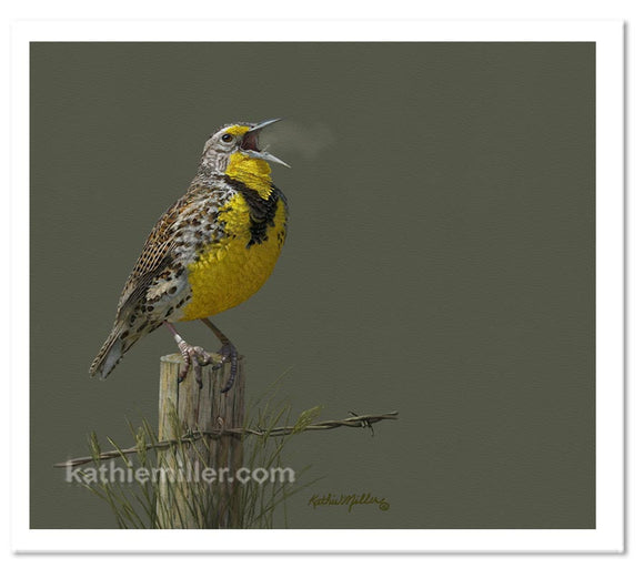 Pastel portrait print of a meadow lark singing in the morning sun. Rendered in a contemporary style using bold strokes and bright colors by award winning artist Kathie Miller.