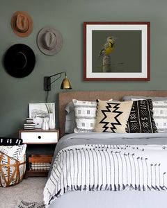 Pastel portrait print of a meadow lark singing in the morning sun with a mahogany frame and 2” white mat hanging western style bedroom. Rendered in a contemporary style using bold strokes and bright colors by award winning artist Kathie Miller. 
