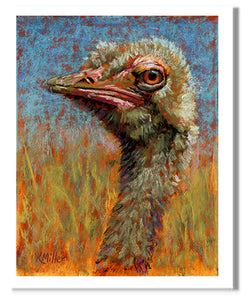 Mildred. Pastel portrait of an ostrich by award winning artist Kathie Miller.