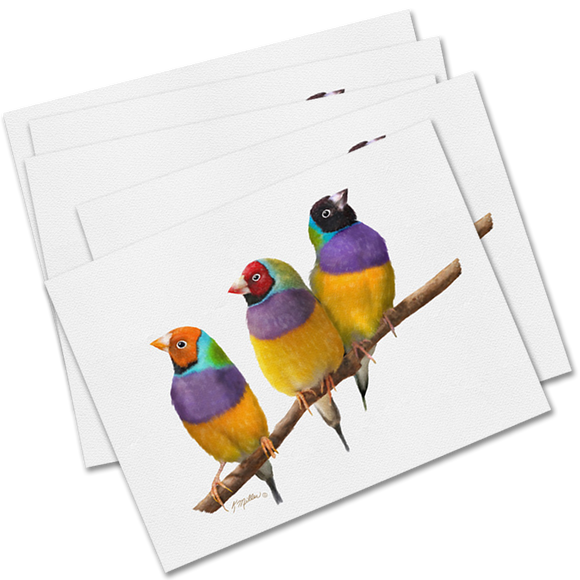 Set of 5 Gouldian Finches Greeting Cards-Kathie Miller