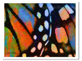  Monarch Butterfly wing abstract painting by wildlife artist Kathie Miller.