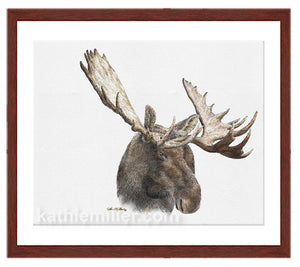 Moose painting eith mohogany frame by award winning artist Kathie Miller. Prints available.