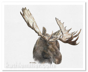 Moose painting by award winning artist Kathie Miller. Prints available.