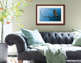 Pastel portrait print of a Northern Pygmy Owl with a mahogany frame and 2” white mat hanging ins casual living room. Rendered in a photo realistic style by award winning artist Kathie Miller.