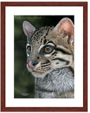 Pastel portrait print of an ocelot with a mahogany frame and 2” white mat. Rendered in a contemporary style using bold strokes and bright colors by award winning artist Kathie Miller. 