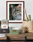 Pastel portrait print of an ocelot with a mahogany frame and 2” white mat hanging in a home office. Rendered in a contemporary style using bold strokes and bright colors by award winning artist Kathie Miller. 
