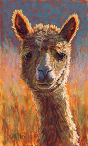 Original 6” x 10” Patel painting of an alpaca in the sun by award winning artist Kathie Miller. Contemporary style using bold strokes and bright colors. Prints available.