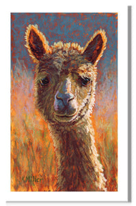 Pastel painting of an alpaca in the sun. Rendered in a contemporary style using bold strokes and bright colors by award winning artist Kathie Miller.