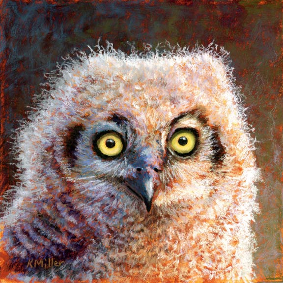 Original 8” x 8” pastel portrait of a fluffy great horned owl chick by award winning artist Kathie Miller. Contemporary style using bold strokes and bright colors. Prints available.