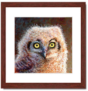 Pastel portrait print of a fluffy great horned owl chick with a mahogany frame and 2” white mat. Rendered in a contemporary style using bold strokes and bright colors by award winning artist Kathie Miller. 