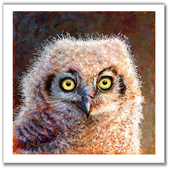 Pastel portrait print of a fluffy great horned owl chick. Rendered in a contemporary style using bold strokes and bright colors by award winning artist Kathie Miller.