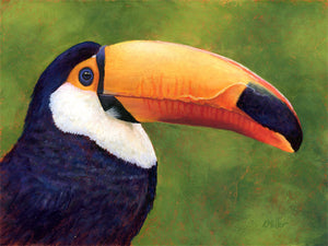 Original 12” x 9” pastel portrait of a toucan by award winning artist Kathie Miller. Contemporary style using bold strokes and bright colors. Prints available.
