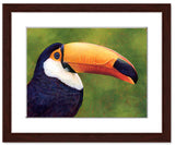 Pastel portrait print of a toucan with a simple dark wood frame and 2” white mat. Rendered in a contemporary style using bold strokes and bright colors by award winning artist Kathie Miller. 