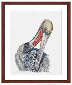 Pelican painting with mohogany frame by award winning artist Kathie Miller. Prints available.