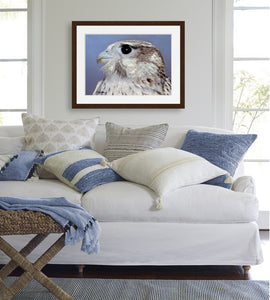 Prairie Falcon painting by wildlife artist Kathie Miller.  Prints available.