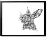 Rabbit Portrait-Ink with black frame by wildlife artist Kathie Miller.  Prints available.