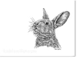 Rabbit Portrait-Ink by wildlife artist Kathie Miller.  Prints available.