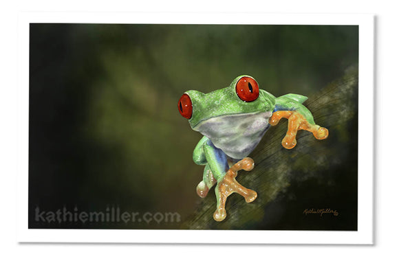 Red Eyed Tree Frog by award winning artist Kathie Miller