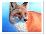 Red Fox pastel print by award winning artist Kathie Miller.