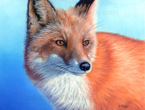 Red Fox original pastel art by award winning artist Kathie Miller. Prints available.