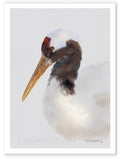 Red Crowned Crane painting by wildlife artist Kathie Miller. Prints available.