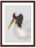 Red Crowned Crane painting with walnut frame by wildlife artist Kathie Miller. Prints available.