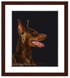 Red Doberman Portrait painting with walnut frame by wildlife artist Kathie Miller.  Prints available.