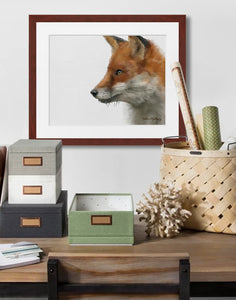 Red Fox Portrait painting by award winning artist Kathie Miller. Prints available.