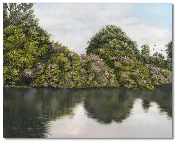 Original hyper realistic oil painting of rhododendrons in full blooms by a river, 8 x 10 Oil on panel by award winning artist Kathie Miller. Painting is shipped unframed.