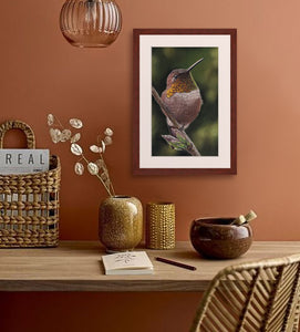 Rufous Hummingbird pastel by award winning artist Kathie Miller.