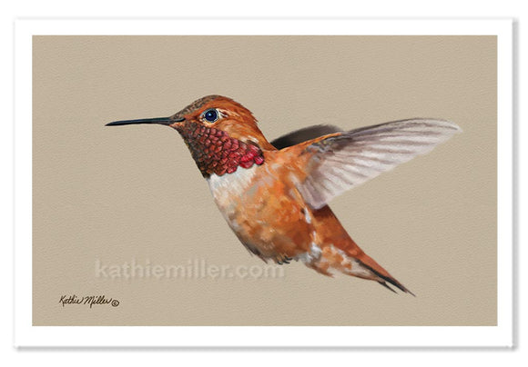 Rufus hummingbird painting by wildlife artist Kathie Miller. Prints available. 