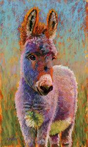 Original pastel portrait of a donkey in the bright sun by award winning artist Kathie Miller. Contemporary style using bold strokes and bright colors. Prints available.