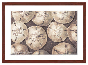 Sand Dollars painting with mohogany frame  by award winning artist Kathie Miller